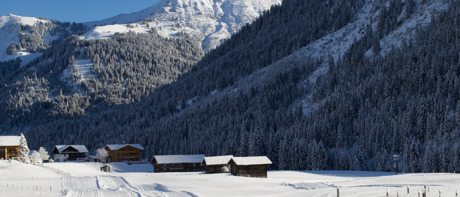 Winterwanderweg Breitach | © Kleinwalsertal Tourismus eGen