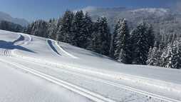 Eggloipe | © Kleinwalsertal Tourismus eGen