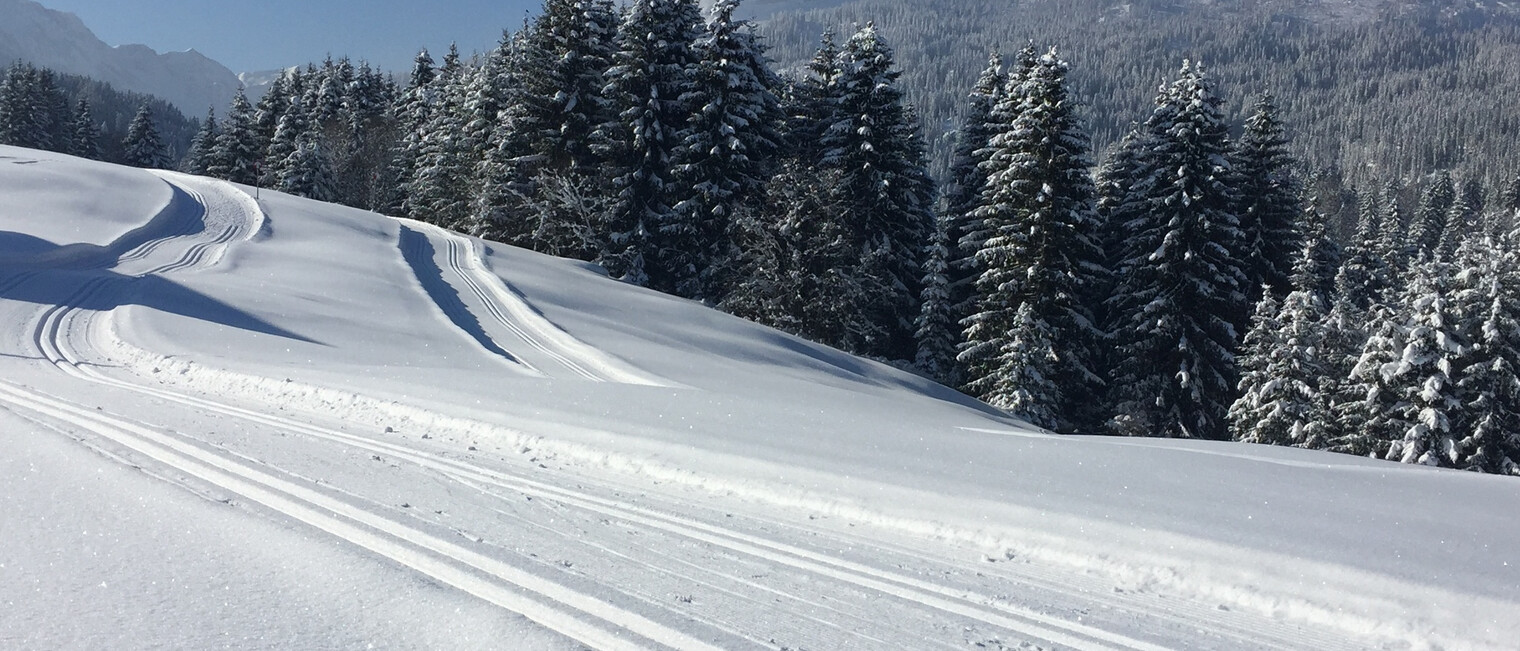 Eggloipe | © Kleinwalsertal Tourismus eGen