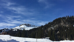 Blick zum Ifen vom Oberwäldele | © Kleinwalsertal Tourismus eGen