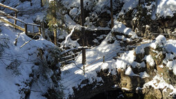 Winterwandern: zur Naturbrücke am Schwarzwasserbach | © Kleinwalsertal Tourismus
