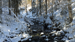Winterwandern: zur Naturbrücke am Schwarzwasserbach | © Kleinwalsertal Tourismus
