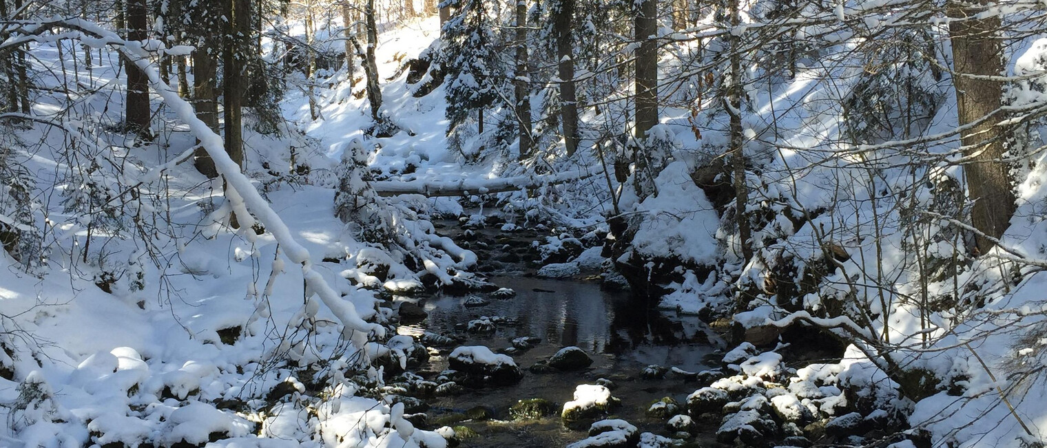 Winterwandern: zur Naturbrücke am Schwarzwasserbach | © Kleinwalsertal Tourismus