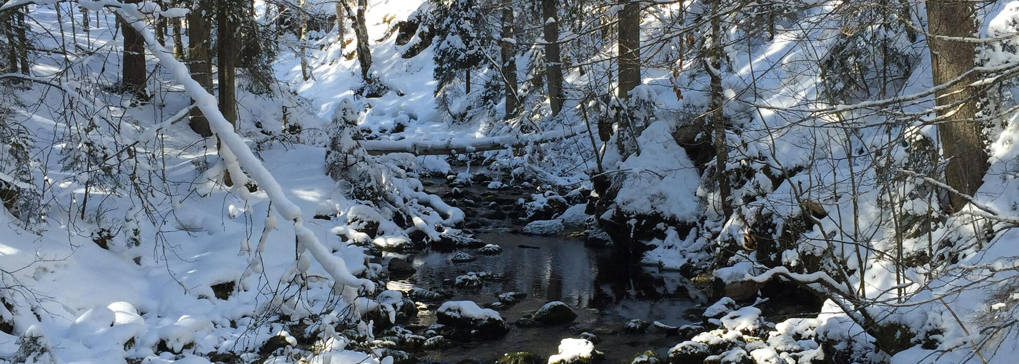 Winterwandern: zur Naturbrücke am Schwarzwasserbach | © Kleinwalsertal Tourismus