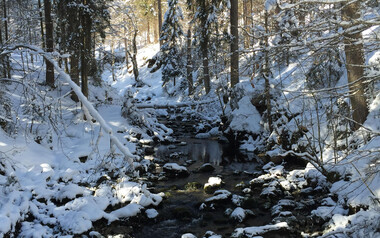 Winterwandern: zur Naturbrücke am Schwarzwasserbach | © Kleinwalsertal Tourismus
