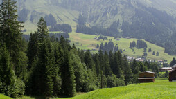 Espan Schwende | © Kleinwalsertal Tourismus eGen