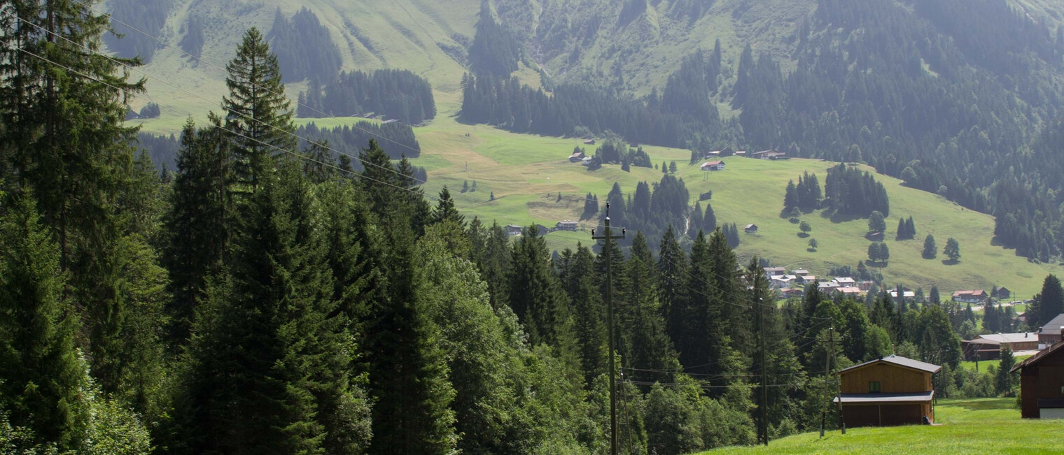 Espan Schwende | © Kleinwalsertal Tourismus eGen