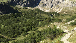 Oberstdorfer Hammerspitze | © Kleinwalsertal Tourismus