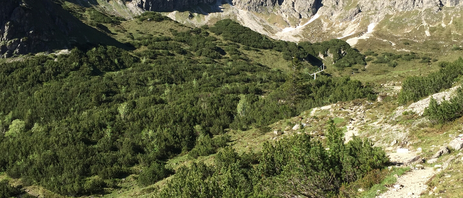 Oberstdorfer Hammerspitze | © Kleinwalsertal Tourismus