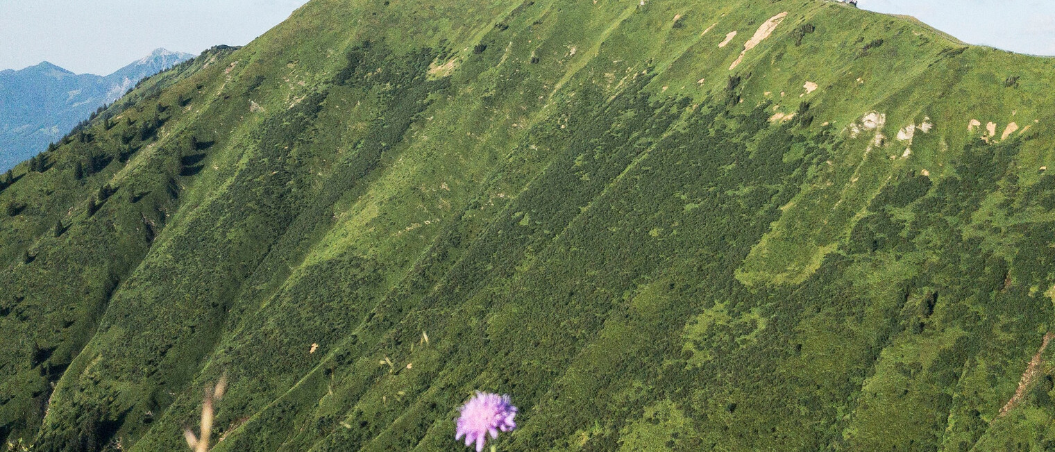 Gehrenspitze | © Kleinwalsertal Tourismus eGen