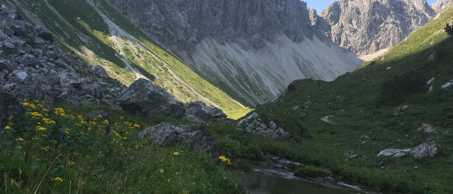 Wanderweg im Kleinwalsertal | © Kleinwalsertal Tourismus