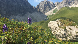 Wanderweg im Kleinwalsertal | © Kleinwalsertal Tourismus