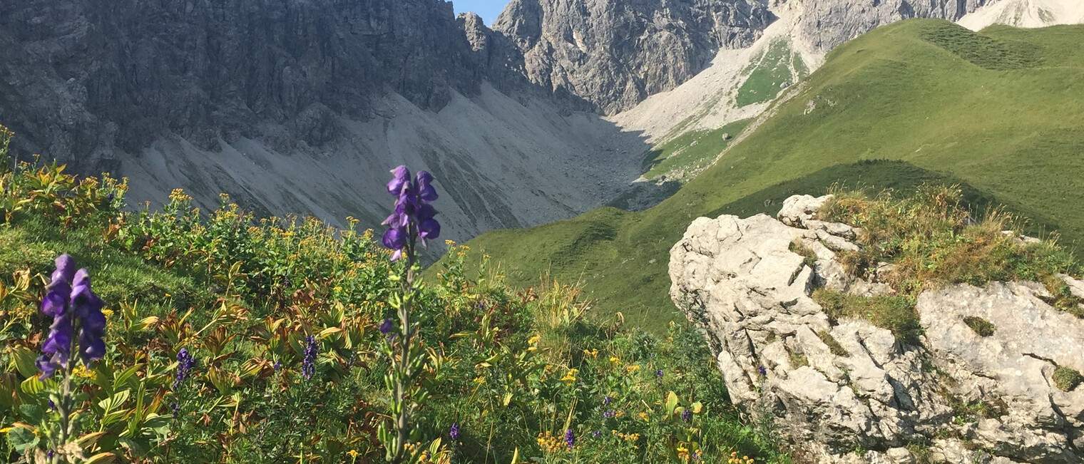 Wanderweg im Kleinwalsertal | © Kleinwalsertal Tourismus