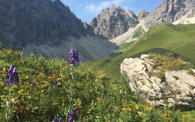Wanderweg im Kleinwalsertal | © Kleinwalsertal Tourismus