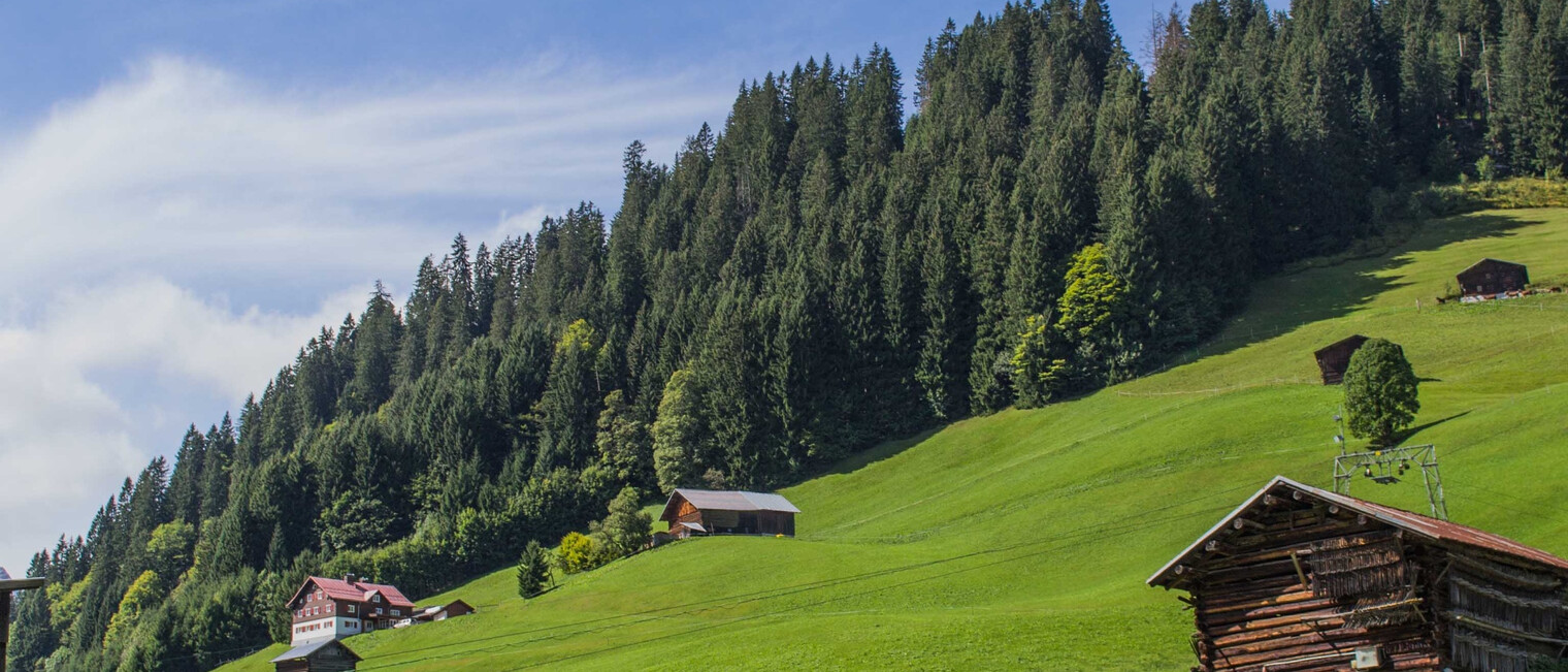 Haspelwald vom Maisässlift aus | © Kleinwalsertal Tourismus eGen