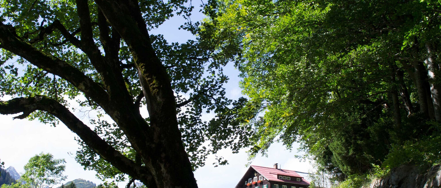 Nicht verpassen! Die erste Station am Bergahorn | © Kleinwalsertal Tourismus eGen