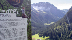 Station drei des Haspelwaldwegs | © Kleinwalsertal Tourismus eGen