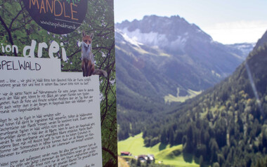 Station drei des Haspelwaldwegs | © Kleinwalsertal Tourismus eGen
