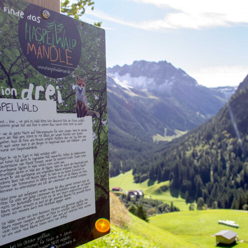 Station drei des Haspelwaldwegs | © Kleinwalsertal Tourismus eGen Station drei des Haspelwaldwegs | © Kleinwalsertal Tourismus eGen