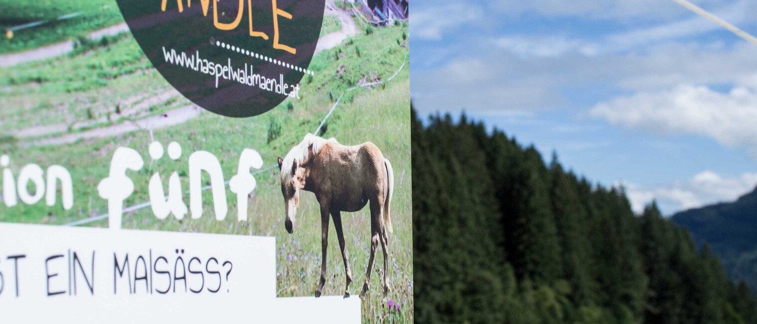 Station fünf des Haspelwaldwegs | © Kleinwalsertal Tourismus eGen