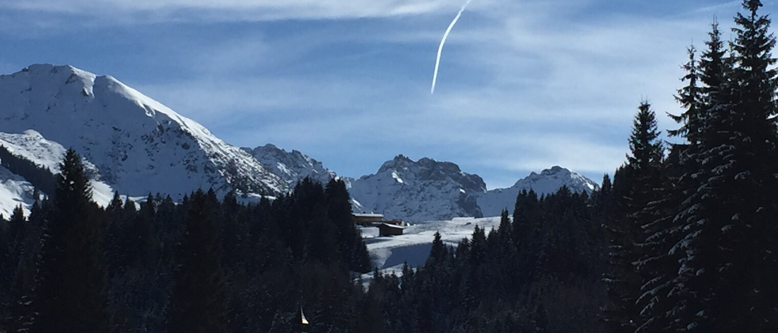 Winterwandern im Wäldele | © Kleinwalsertal Tourismus