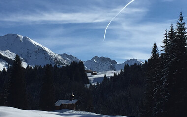 Winterwandern im Wäldele | © Kleinwalsertal Tourismus