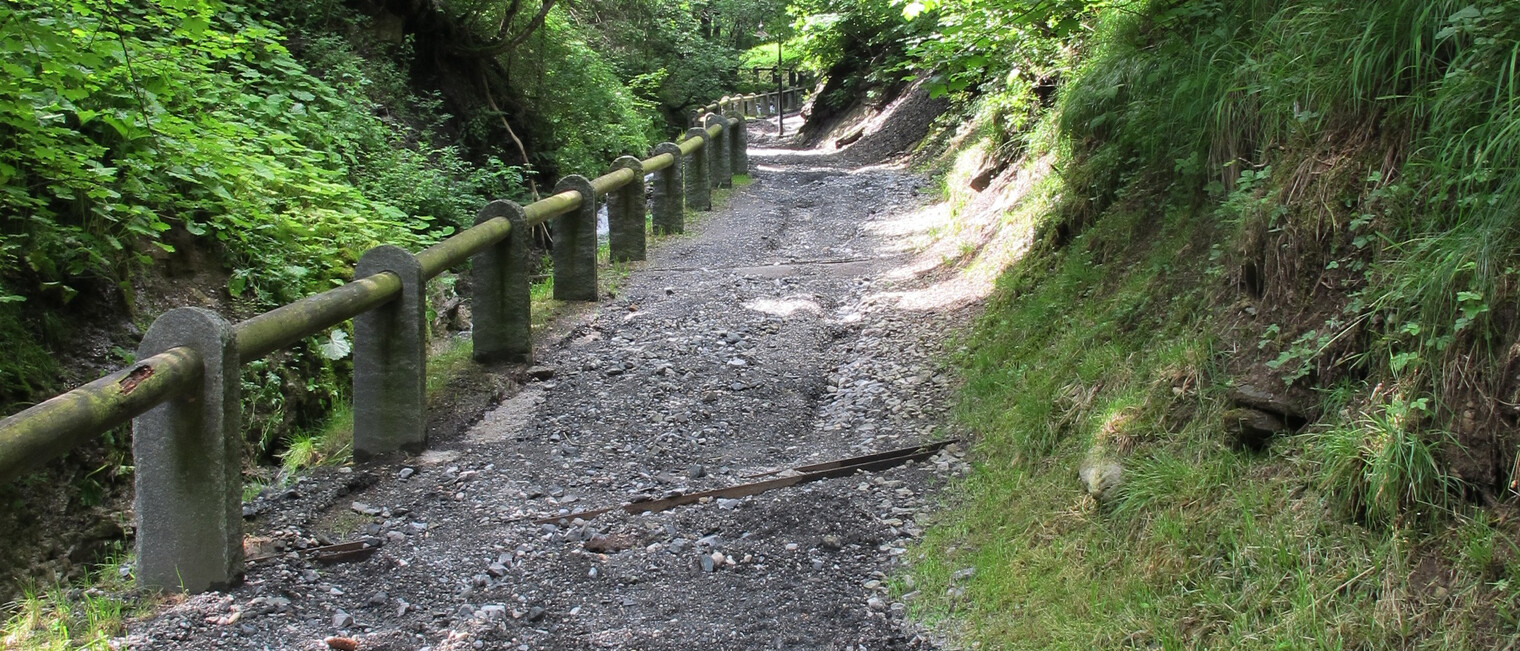 Spazierweg in Hirschegg | © Kleinwalsertal Tourismus eGen