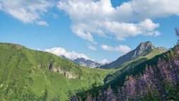 Ausblick | © Kleinwalsertal Tourismus eGen