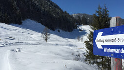Straußberg | © Kleinwalsertal Tourismus eGen