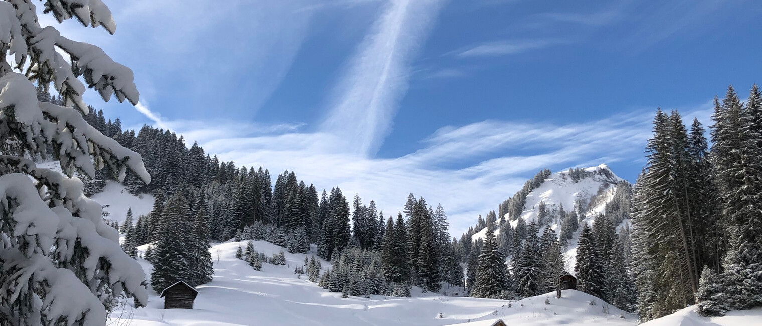 Anfang Bärgunttal | © Kleinwalsertal Tourismus eGen