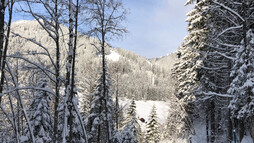 Weg ins Bärgunttal | © Kleinwalsertal Tourismus eGen