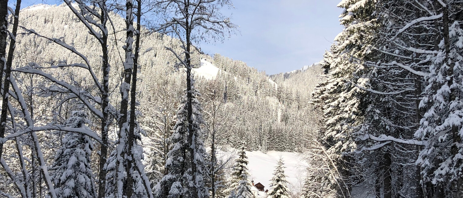 Weg ins Bärgunttal | © Kleinwalsertal Tourismus eGen