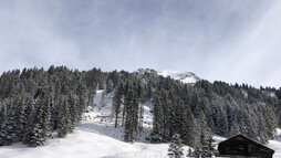 Abzweigung - Brunnenweg | © Kleinwalsertal Tourismus eGen