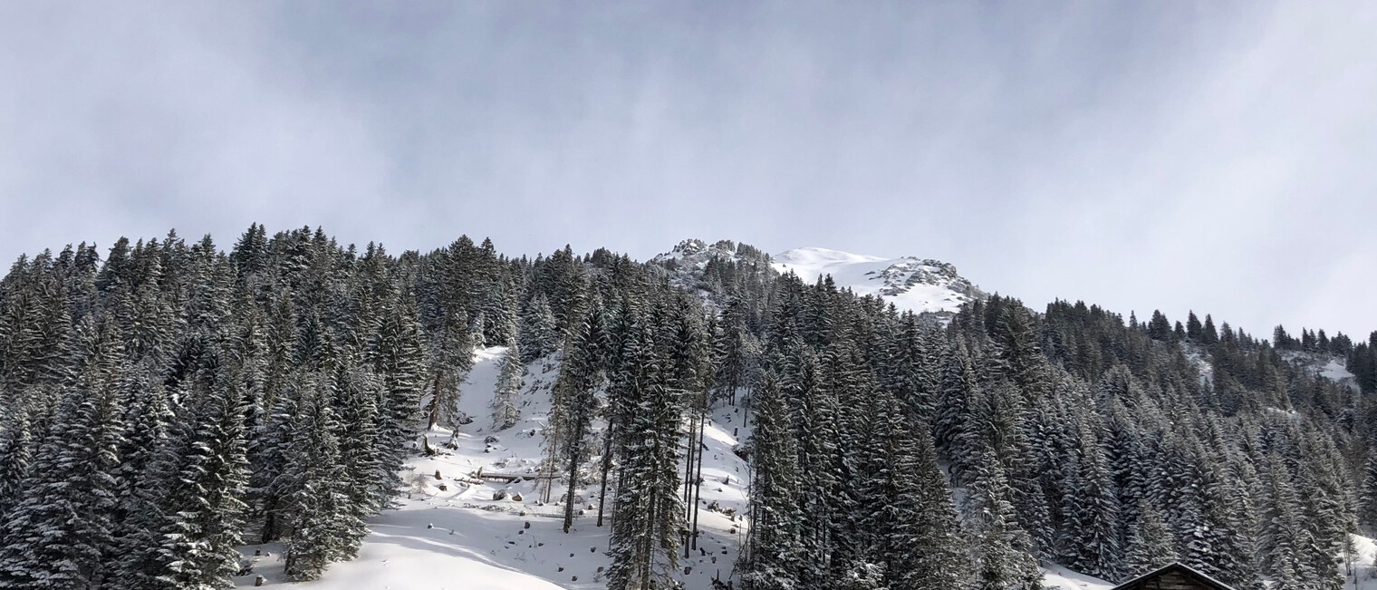Abzweigung - Brunnenweg | © Kleinwalsertal Tourismus eGen