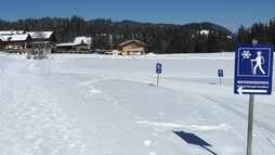 Winterwanderung in der Schwende | © Kleinwalsertal Tourismus eGen