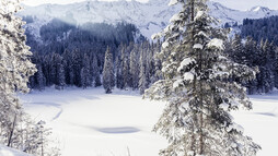 Schwarzwassertal im Winter | © Kleinwalsertal Tourismus eGen | Fotograf: Oliver Farys