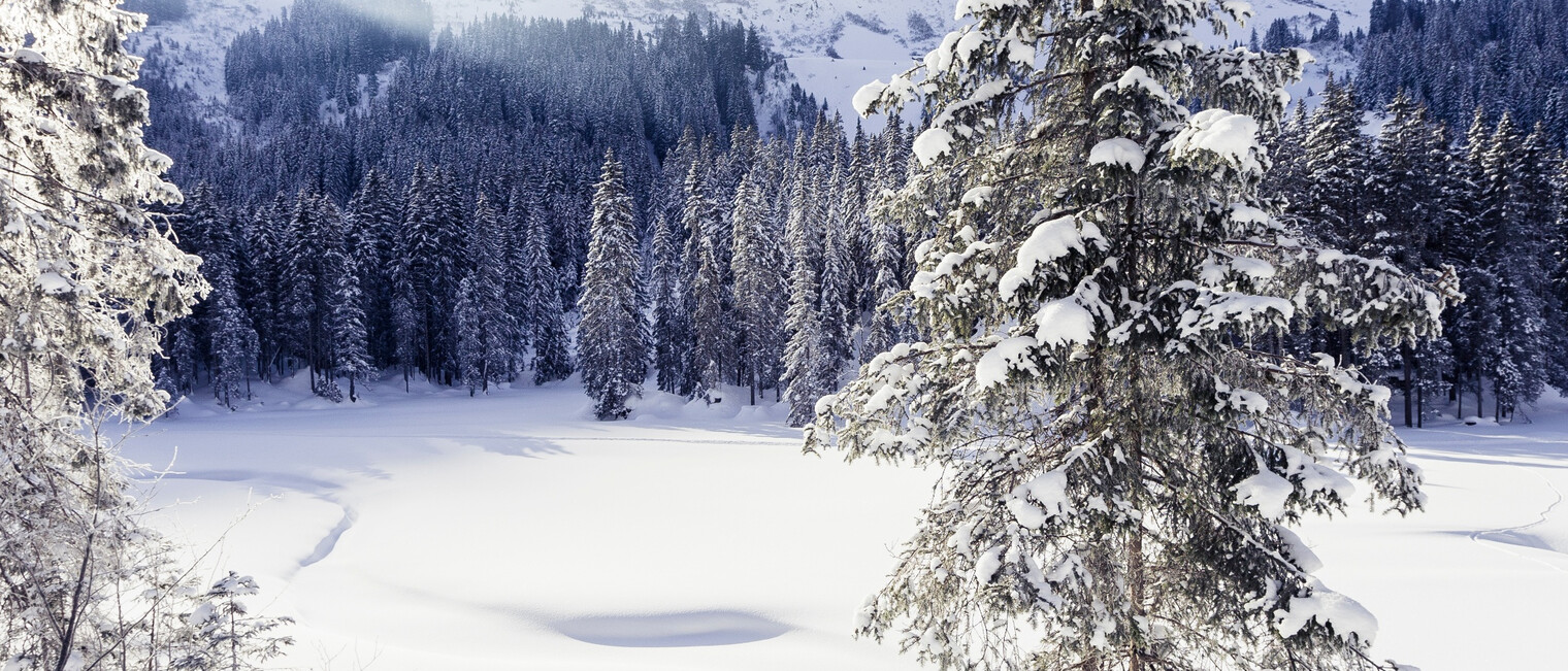 Schwarzwassertal im Winter | © Kleinwalsertal Tourismus eGen | Fotograf: Oliver Farys