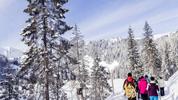 Schwarzwassertal Winterwanderweg | © Kleinwalsertal Tourismus eGen | Fotograf @Oliver Farys