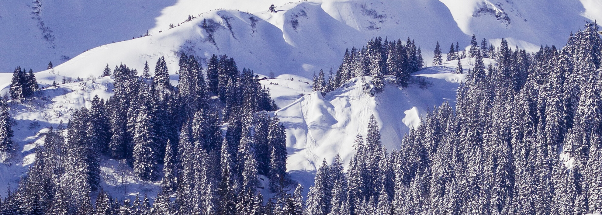 Steinmandl im Winter | © Kleinwalsertal Tourismus eGen | Fotograf @Oliver Farys Steinmandl im Winter | © Kleinwalsertal Tourismus eGen | Fotograf @Oliver Farys
