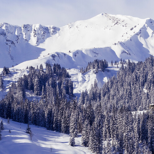 Steinmandl im Winter | © Kleinwalsertal Tourismus eGen | Fotograf @Oliver Farys Steinmandl im Winter | © Kleinwalsertal Tourismus eGen | Fotograf @Oliver Farys