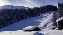 Melköde im Winter | © Kleinwalsertal Tourismus eGen | Fotograf: Oliver Farys