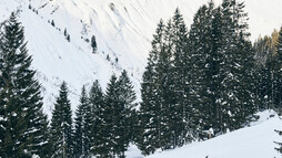 Skitour im Kleinwalsertal | © Kleinwalsertal Tourismus eGen | @Fotograf: Urs Golling Skitour im Kleinwalsertal | © Kleinwalsertal Tourismus eGen | @Fotograf: Urs Golling