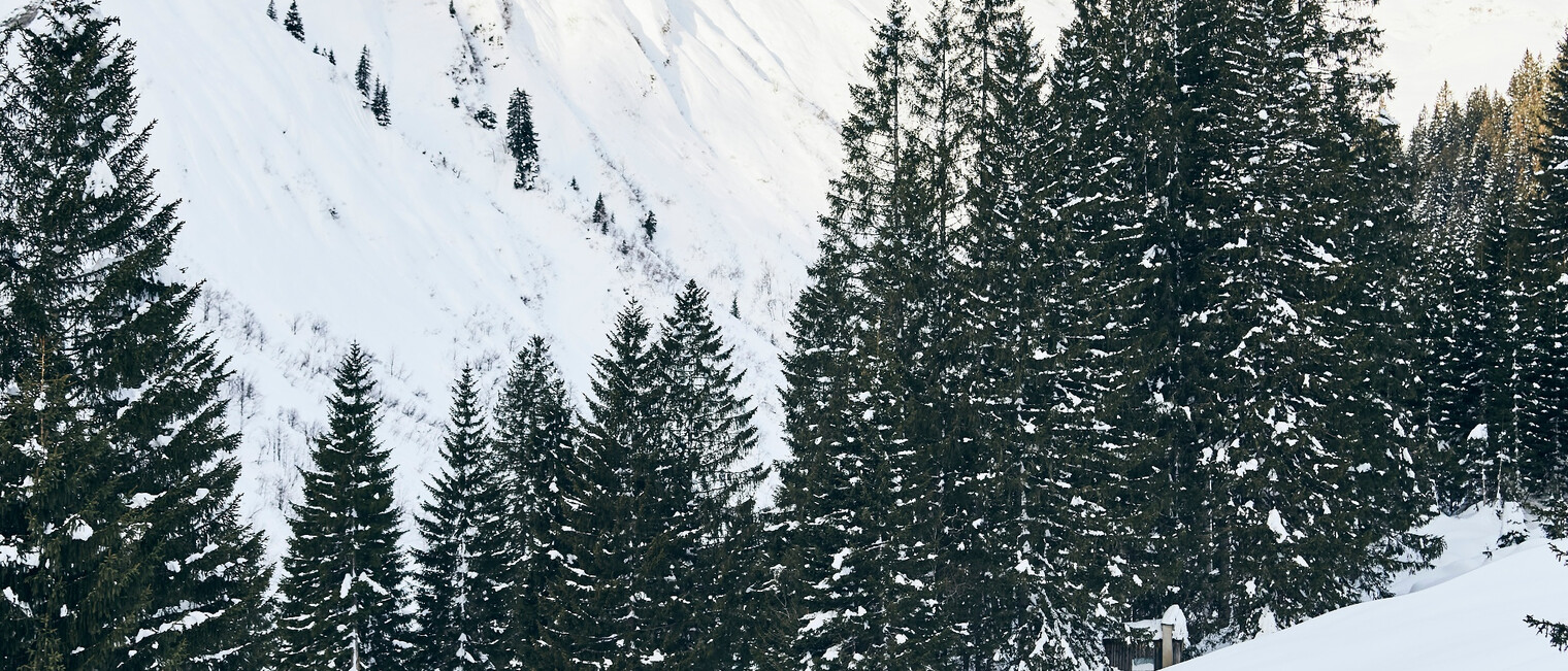 Skitour im Kleinwalsertal | © Kleinwalsertal Tourismus eGen | @Fotograf: Urs Golling Skitour im Kleinwalsertal | © Kleinwalsertal Tourismus eGen | @Fotograf: Urs Golling