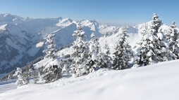 Blick auf Baad - Derratal | © Kleinwalsertal Tourismus eGen | Fotograf: Frank Drechsel