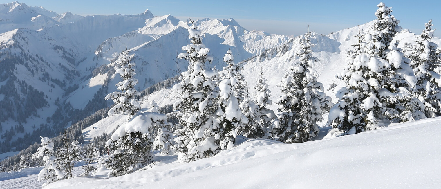 Blick auf Baad - Derratal | © Kleinwalsertal Tourismus eGen | Fotograf: Frank Drechsel