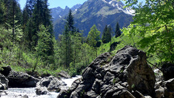 Auwald Breitach | © Kleinwalsertal Tourismus