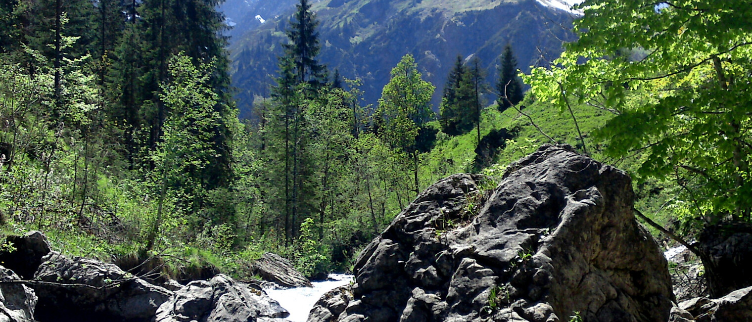 Auwald Breitach | © Kleinwalsertal Tourismus
