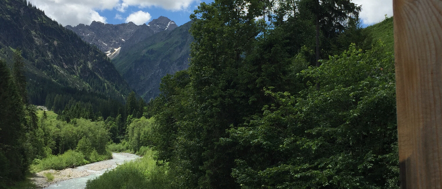 Höflerbrücke mit Blick Richtung Baad | © Kleinwalsertal Tourismus eGen