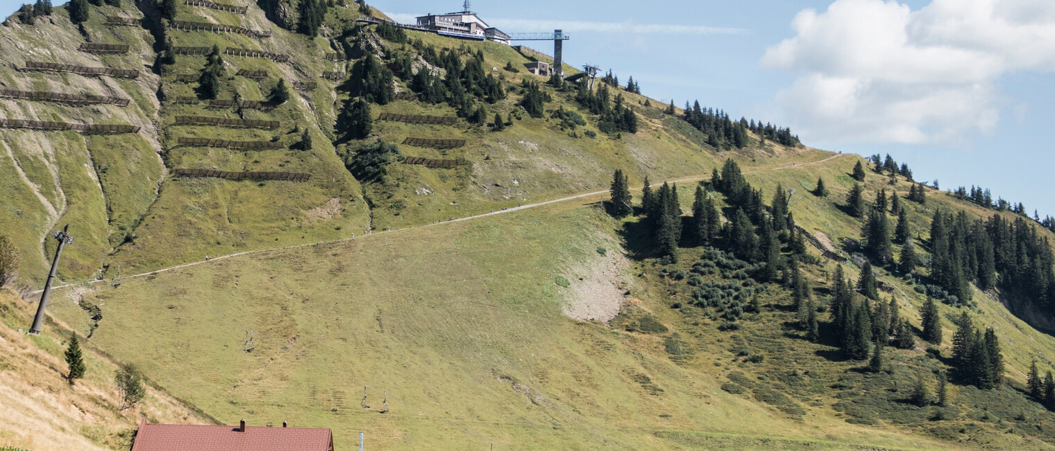 Wanderweg beim Walmendingerhorn | © Kleinwalsertal Tourismus eGen | Fotograf: Andre Tappe