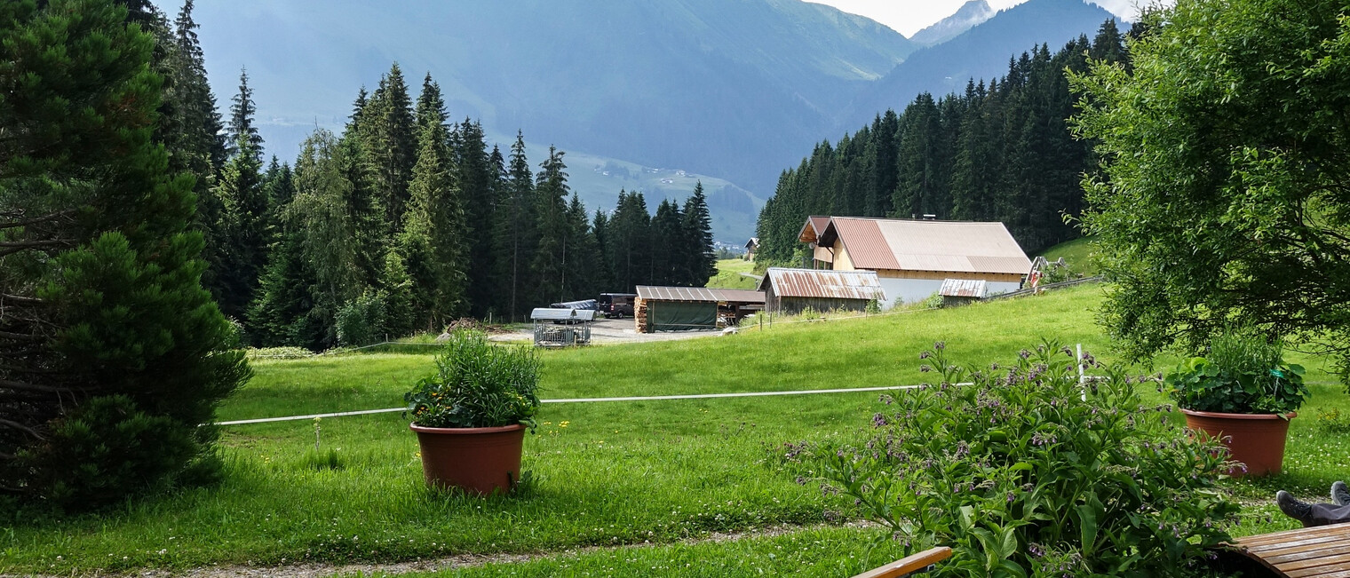 Ruheliegen am Hörnlepass | © Kleinwalsertal Tourismus eGen